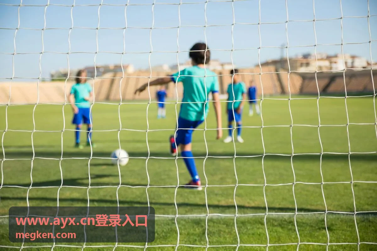 www.ayx.cn登录入口校验记录界面展示