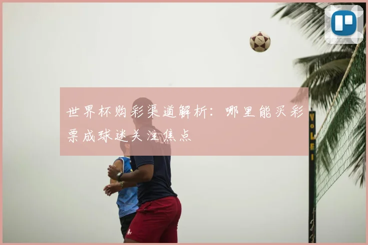 世界杯购彩渠道解析：哪里能买彩票成球迷关注焦点