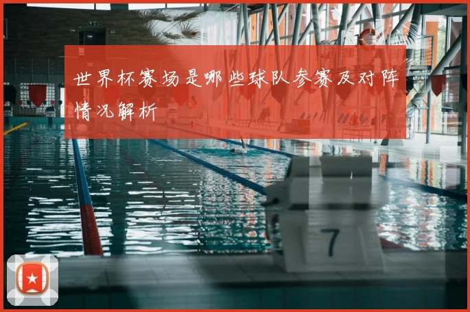 世界杯赛场是哪些球队参赛及对阵情况解析