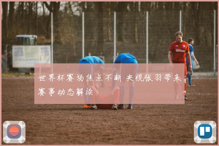 世界杯赛场焦点不断 央视张羽带来赛事动态解读