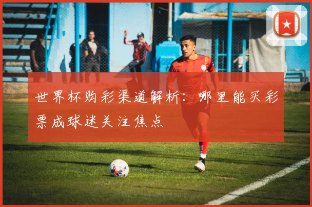 世界杯购彩渠道解析：哪里能买彩票成球迷关注焦点