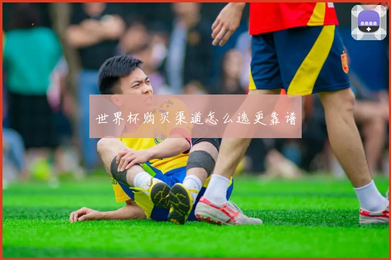 世界杯购买渠道怎么选更靠谱