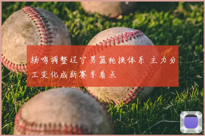 杨鸣调整辽宁男篮轮换体系 主力分工变化成新赛季看点