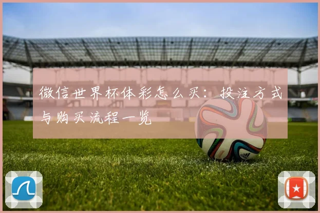 微信世界杯体彩怎么买：投注方式与购买流程一览