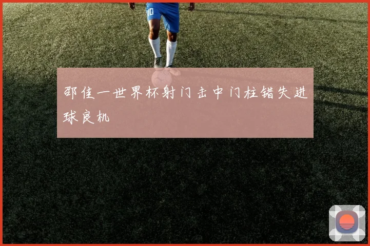 邵佳一世界杯射门击中门柱错失进球良机